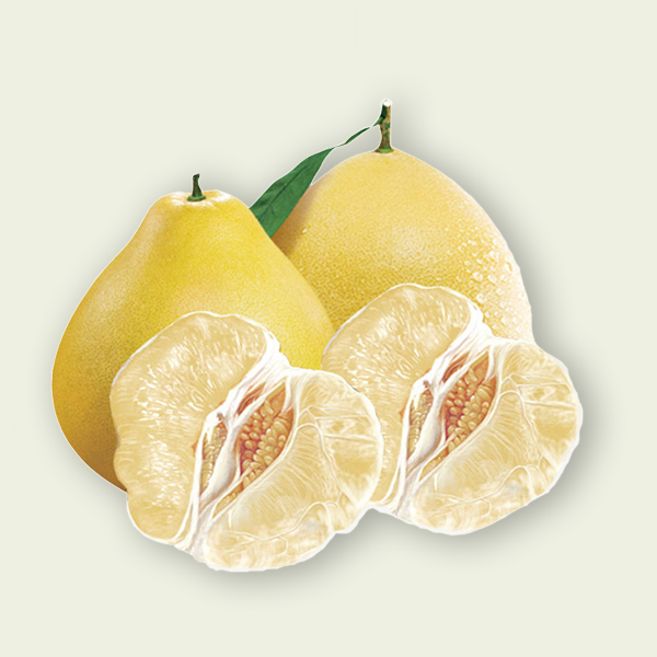 amazing caves coverimage