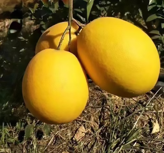 amazing caves coverimage